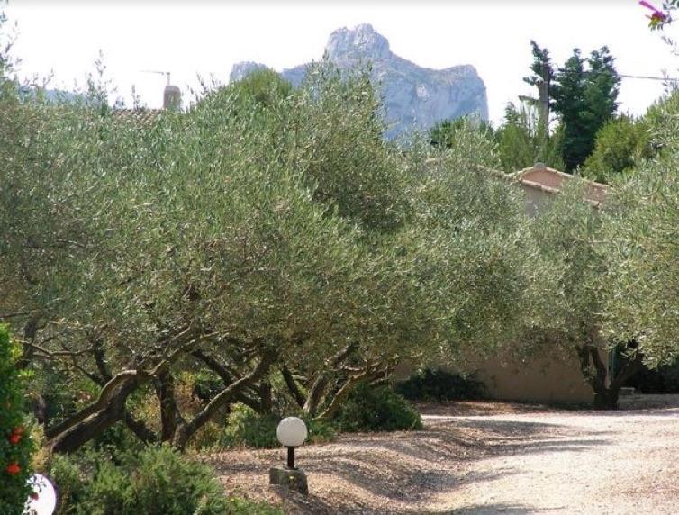 Un Gite En Provence - Les Jardins De Fontanille Saint-Remy-de-Provence Luaran gambar