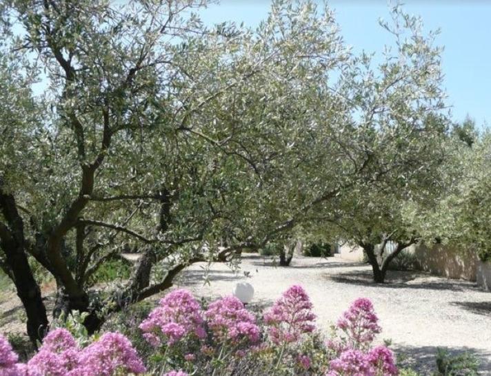 Un Gite En Provence - Les Jardins De Fontanille Saint-Remy-de-Provence Luaran gambar